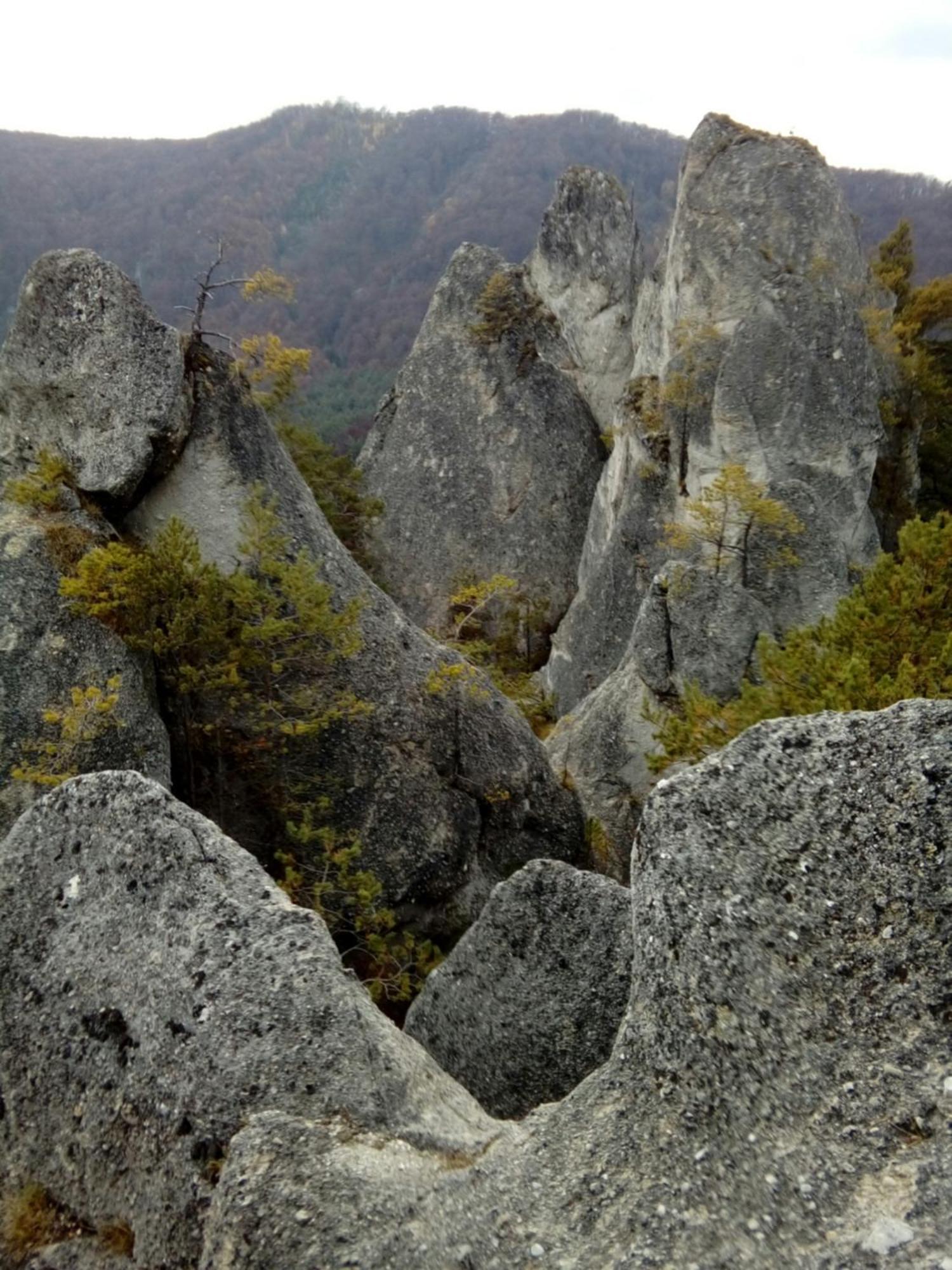 Castle Kaštieľ Kotešová Kotesova Exterior foto