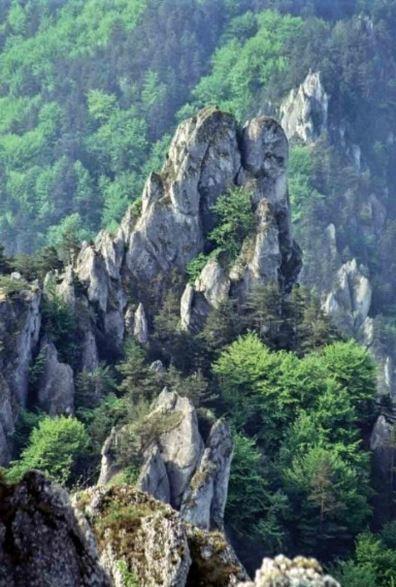 Castle Kaštieľ Kotešová Kotesova Exterior foto
